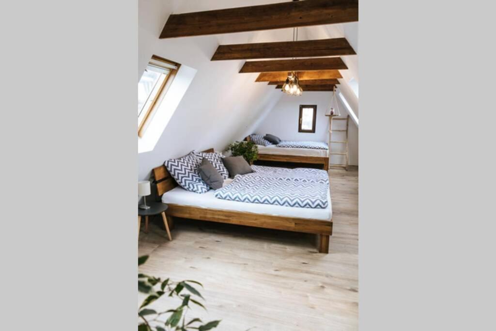 The Cozy Studio Apartment Lauf Lauf an der Pegnitz Exteriér fotografie