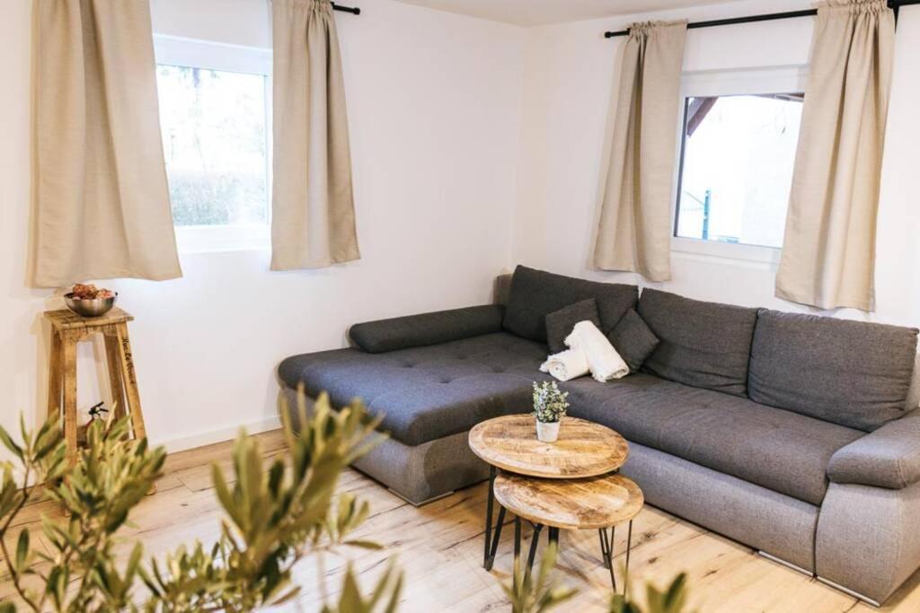 The Cozy Studio Apartment Lauf Lauf an der Pegnitz Exteriér fotografie